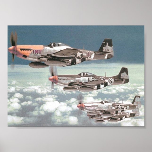 Mustang Patrol Poster (Vorne)