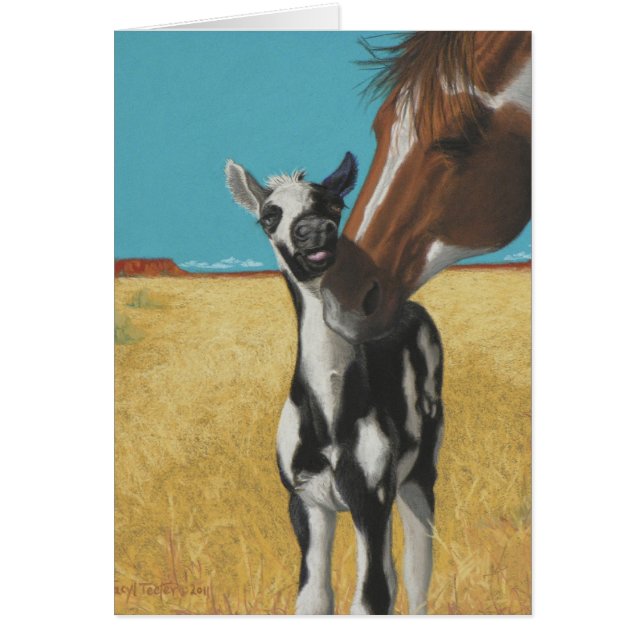 Mustang, Pferd (Vorne)