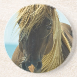 Mustang-PferdeUntersetzer Untersetzer