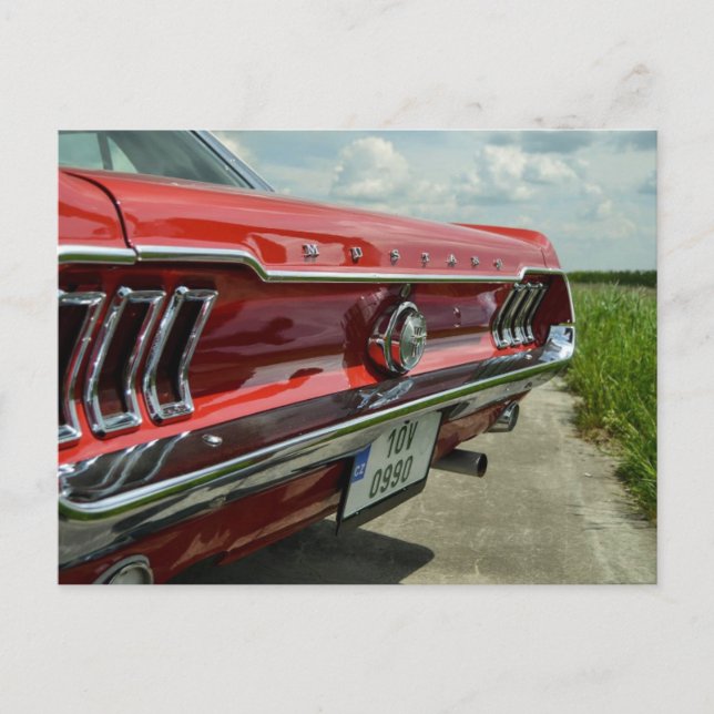 Mustang Postkarte (Vorderseite)