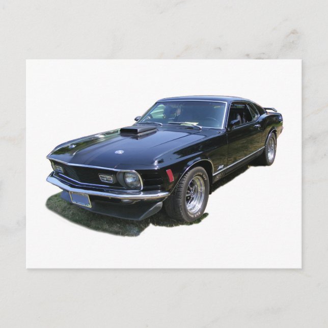 Mustang Postkarte (Vorderseite)