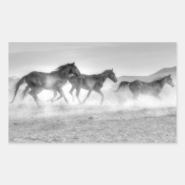 Mustang Run Rechteckiger Aufkleber (Vorderseite)