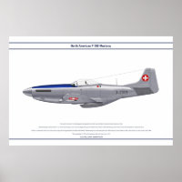 Mustang Schweiz 1