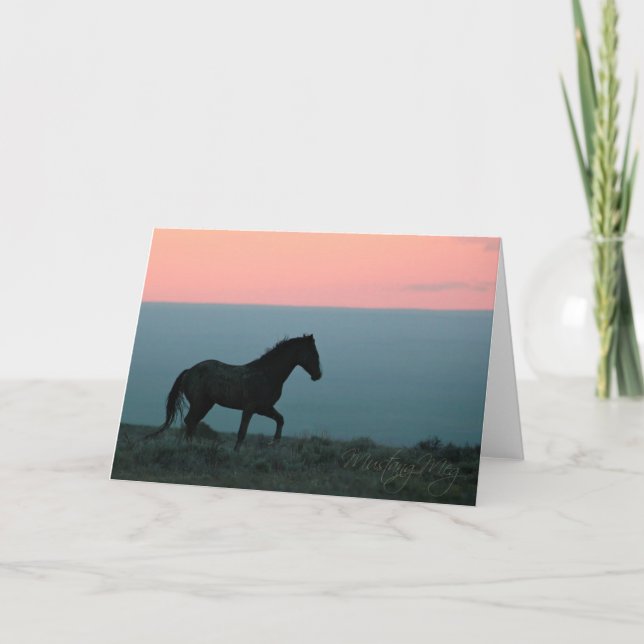 Mustang Stallion bei Sunset Greeting Card Karte (Vorderseite)