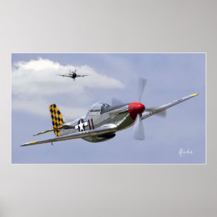 Mustang und Thunderbolzen Poster