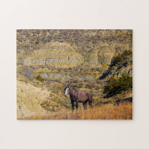 Mustang-Wildpferde.