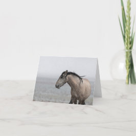 Mustangs sauvages dans la carte Neige
