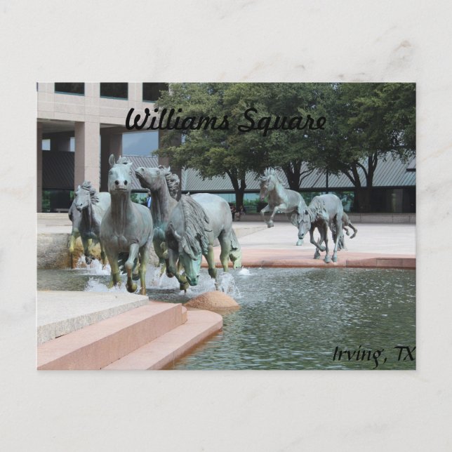 Mustangs von Las Colinas # 12 Postkarte (Vorderseite)