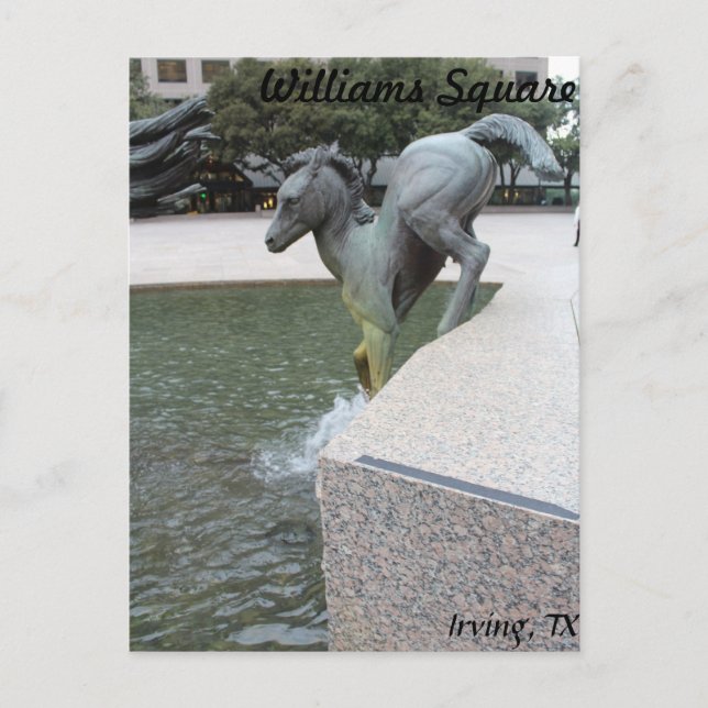 Mustangs von Las Colinas # 18 Postkarte (Vorderseite)