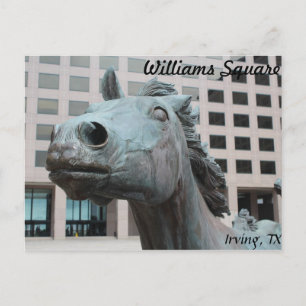 Mustangs von Las Colinas # 22 Postkarte