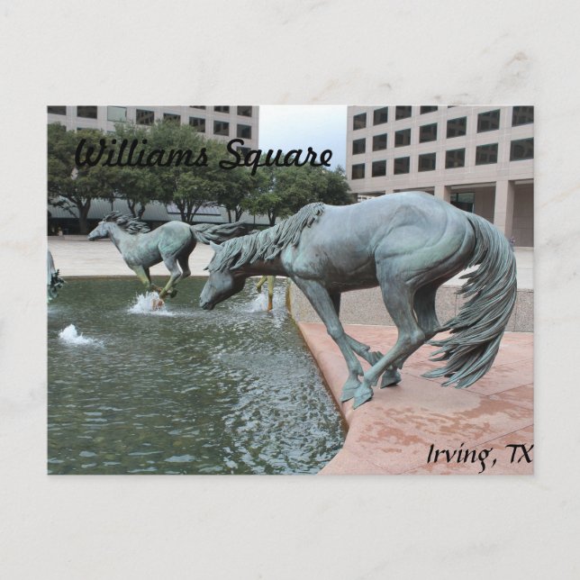 Mustangs von Las Colinas # 28 Postkarte (Vorderseite)