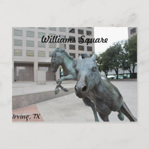 Mustangs von Las Colinas # 9 Postkarte