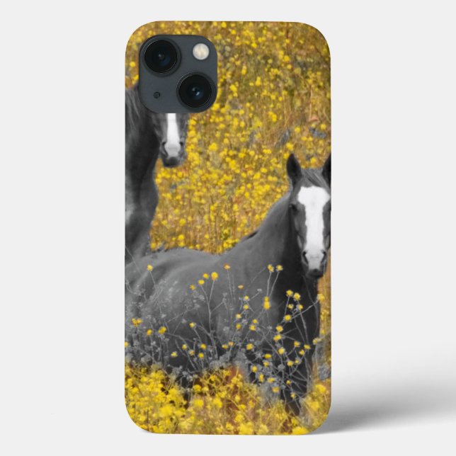 Mustard and Horses Case-Mate iPhone Hülle (Rückseite)