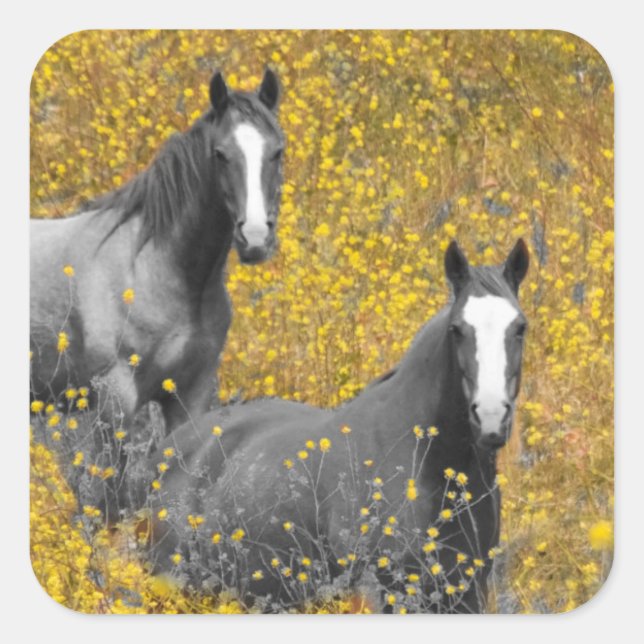 Mustard and Horses Quadratischer Aufkleber (Vorderseite)