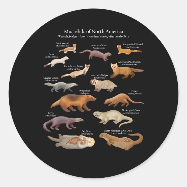 Mustelide aus Nordamerika schwitzen Otters und and Runder Aufkleber (Vorderseite)