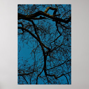 Muster am Himmel Poster