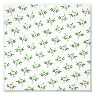 Muster aus Bambuszweigen Fotodruck