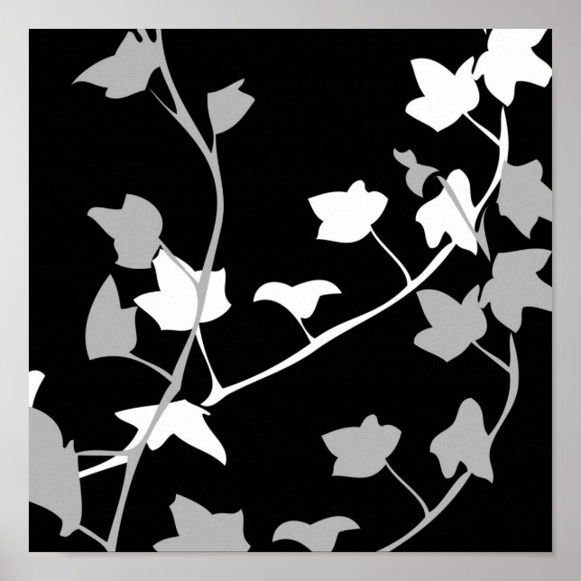 Muster aus der Natur 3 Poster (Vorne)