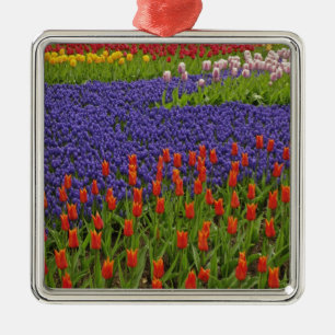 Muster aus Tulpen und Traubenhyazinthenblüten, 2 Silbernes Ornament