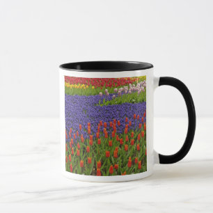 Muster aus Tulpen und Traubenhyazinthenblüten, 2 Tasse