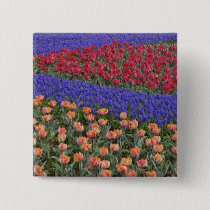 Muster aus Tulpen und Traubenhyazinthenblüten, 3 Button