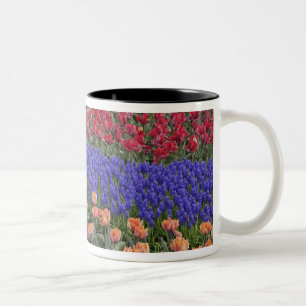 Muster aus Tulpen und Traubenhyazinthenblüten, 3 Zweifarbige Tasse