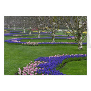 Muster aus Tulpen und Traubenhyazinthenblüten, 4