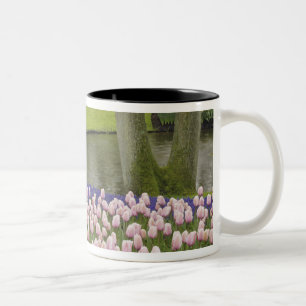 Muster aus Tulpen und Traubenhyazinthenblüten, Zweifarbige Tasse