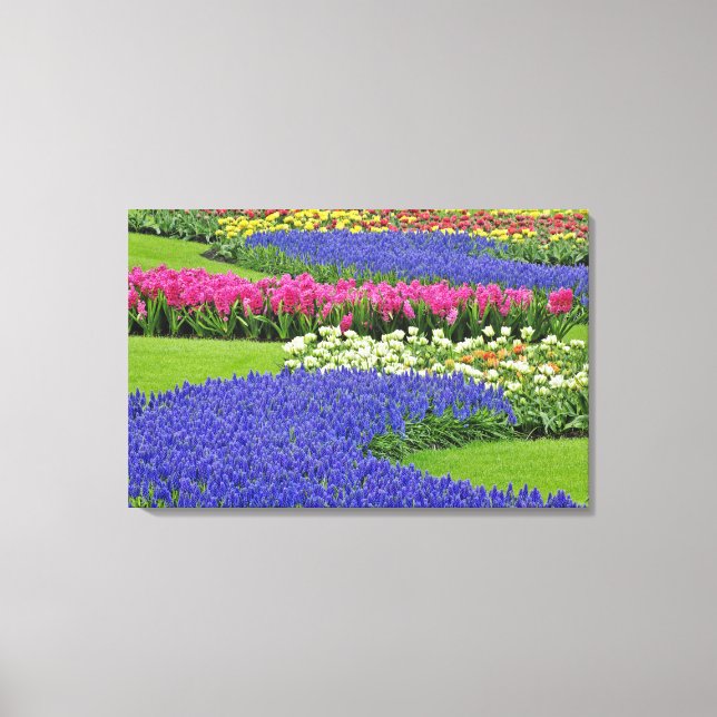 Muster der Blume Hyacinth und Tulip in Keukenhof Leinwanddruck (Vorderseite)