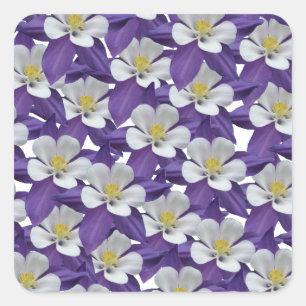 Muster der kolumbianischen Blume Quadratischer Aufkleber