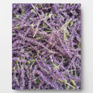 Muster der Lavendel-Blume Fotoplatte