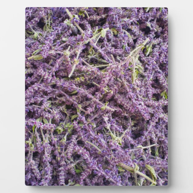 Muster der Lavendel-Blume Fotoplatte (Vorderseite)