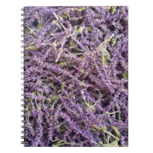 Muster der Lavendel-Blume Notizblock