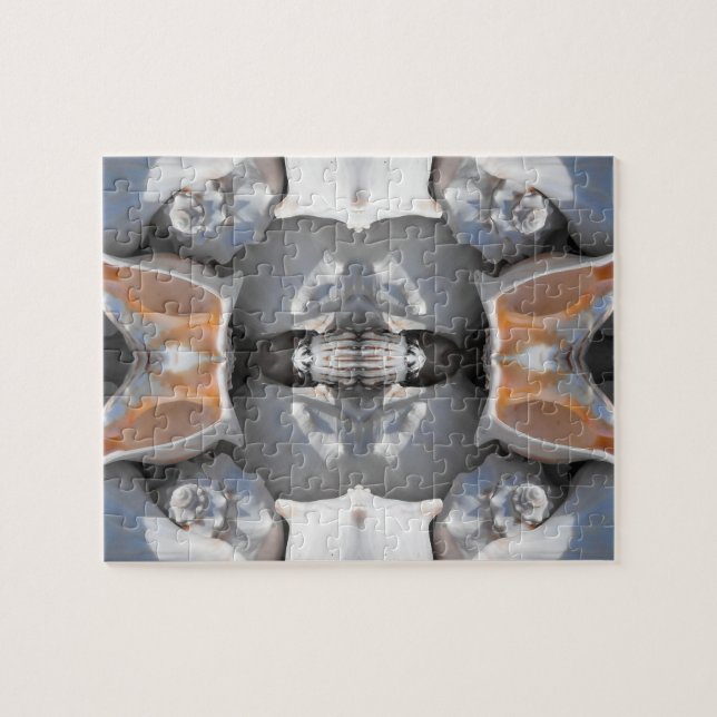 Muster der Muschel (Horizontal)