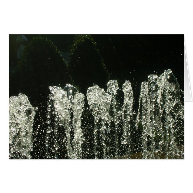 Muster der Natur (Vorderseite (Horizontal))