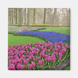 Muster der Traubenhyazinthe, Tulpen und 2 Magnet