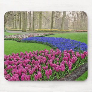 Muster der Traubenhyazinthe, Tulpen und 2 Mousepad