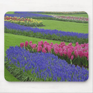 Muster der Traubenhyazinthe, Tulpen und Mousepad