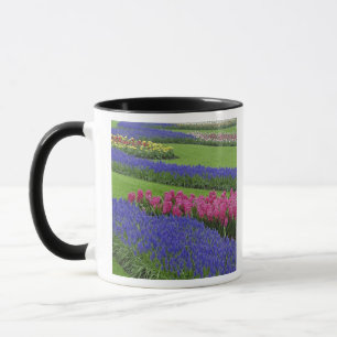 Muster der Traubenhyazinthe, Tulpen und Tasse