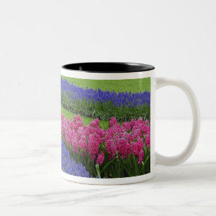 Muster der Traubenhyazinthe, Tulpen und Zweifarbige Tasse