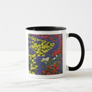 Muster der Tulpen und der Blume des Weintraubs, 2 Tasse