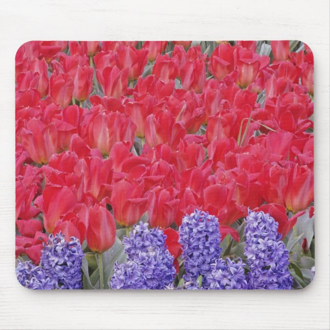 Muster von Hyazinthen, Tulpen und Daffodien, Mousepad (Vorne)