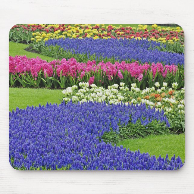 Muster von Traubentrester, Tulpen und 3 Mousepad (Vorne)