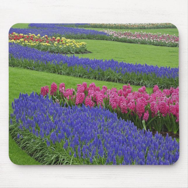 Muster von Traubenzucker, Tulpen und Mousepad (Vorne)