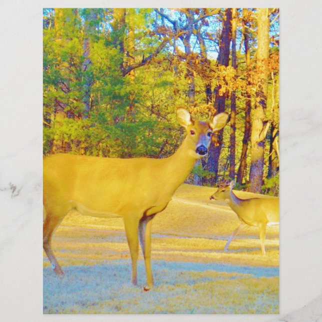 Musturd Colored Deer mit hellblau (Vorderseite)
