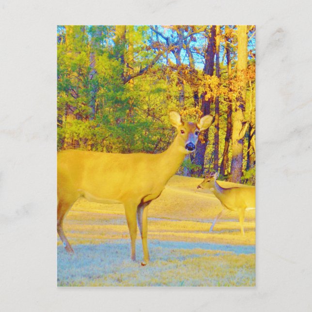 Musturd Colored Deer mit hellblau Postkarte (Vorderseite)