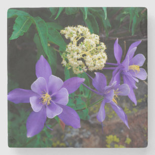 Mutant-Columbine-Wildblumen Steinuntersetzer