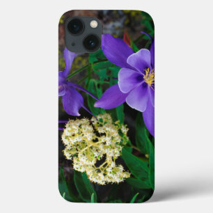 Mutante Akelei-Wildblumen title_seo2