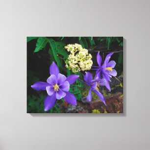 Mutante Akelei-Wildblumen Leinwanddruck