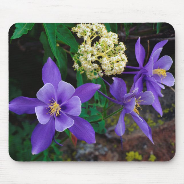 Mutante Akelei-Wildblumen Mousepad (Vorne)